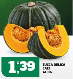Sigma Zucca delica offerta