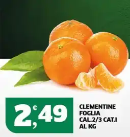 Sigma Clementine foglia offerta