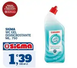 Sigma Sigma WC Gel disincrostante offerta