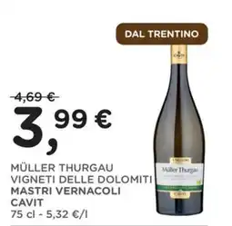 Poli Müller Thurgau Vigneti delle Dolomiti MASTRI Vernacoli Cavit offerta