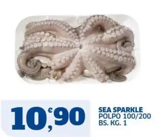 Sea Sparkle polpo