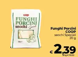 Ipercoop Radenza Funghi Porcini COOP secchi Speciali offerta