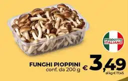 Ipercoop Radenza Funghi pioppini offerta