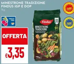 Pan Minestrone tradizione Findus offerta