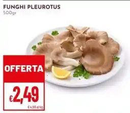 Pan Funghi Pleurotus offerta