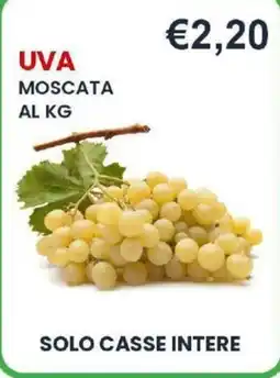 Caramico Uva Moscata offerta