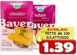 MercADone Bayerland formaggio a fette senza lattosio offerta