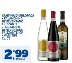Sigma Cantina di Solopaca offerta