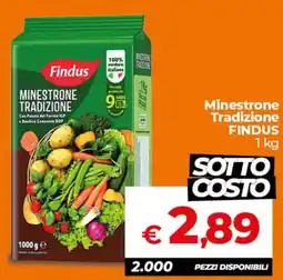 Ipercoop Radenza Minestrone Tradizione Findus offerta