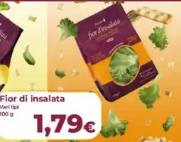 Ipercoop Radenza Fior di insalata offerta
