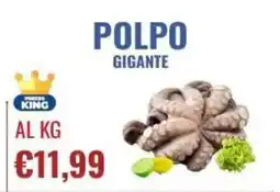 Fish's King Polpo gigante offerta