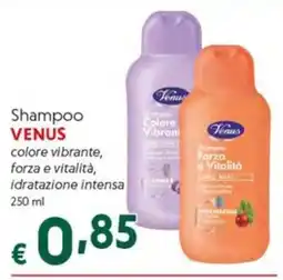DiMeglio Shampoo VENUS offerta