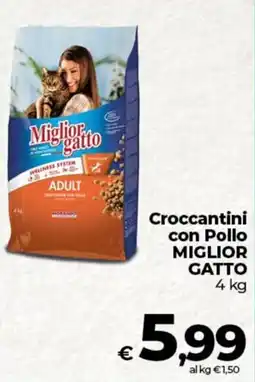 Ipercoop Radenza Croccantini con Pollo Miglior Gatto offerta