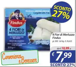 DiMeglio 4 Fiori di Merluzzo Findus offerta