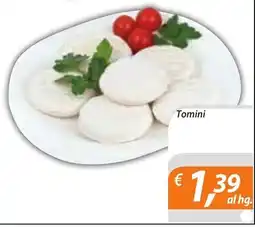 DiMeglio Tomini offerta
