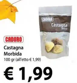 Cadoro Cadoro Castagna Morbida offerta