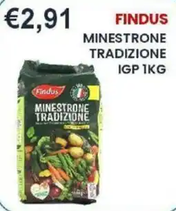 Caramico Findus Minestrone Tradizione offerta