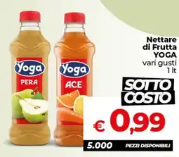 Ipercoop Radenza Nettare di Frutta YOGA offerta