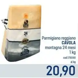 Talento Professional Store Parmigiano reggiano Cavola offerta