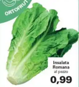 Alvama Insalata Romana offerta