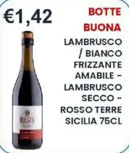 Caramico Lambrusco Bianco Frizzante Amabile - Lambrusco Secco - Rosso Terre Sicilia offerta