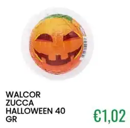 Sugros Walcorn zucca halloween offerta