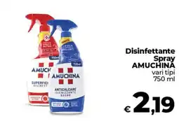 Ipercoop Radenza Disinfettante Spray AMUCHINA offerta