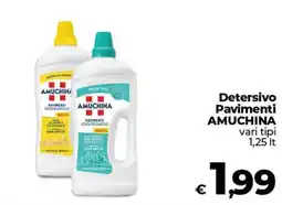 Ipercoop Radenza Detersivo Pavimenti AMUCHINA offerta