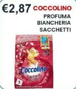 Caramico Coccolino profuma biancheria sacchetti offerta