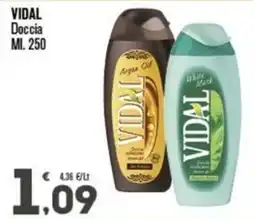 Punto é market Doccia Vidal offerta