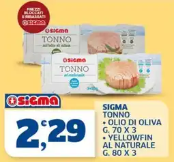 Sigma Sigma tonno offerta