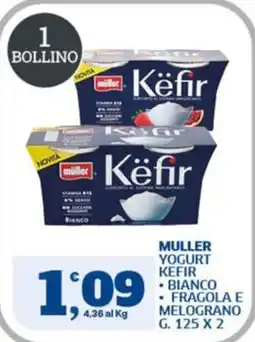 Sigma Muller Yogurt Kefir offerta