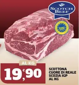 Sigma Scottona cuore di reale scozia igp offerta