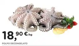 Poli Polpo decongelato offerta