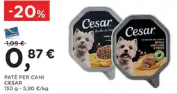 Poli Patè per cani Cesar offerta