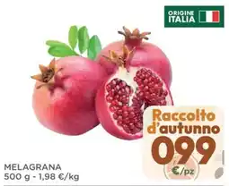 Poli Melagrana offerta