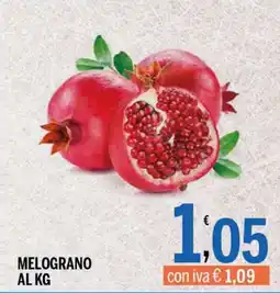 Gruppo Pascar Melograno offerta