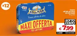 Ipercoop Radenza Tonno all'olio di oliva AS DO MAR offerta