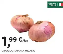 Poli Cipolla ramata milano offerta