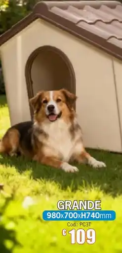 Centro Brico Casa per cani grande offerta