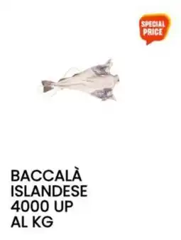 Sugros Baccalà islandese offerta