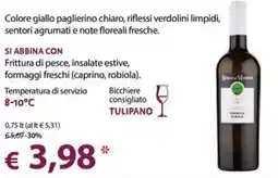 Cadoro Verdolaga bianca offerta