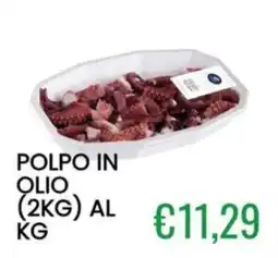Sugros Polpo in olio offerta