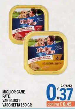 Gruppo Pascar Miglior cane paté vari gusti offerta