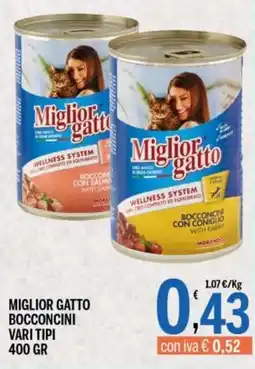 Gruppo Pascar Miglior gatto bocconcini offerta