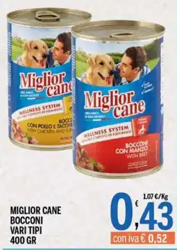 Gruppo Pascar Miglior cane Bocconi offerta