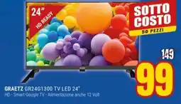 Schiavotto Graetz GR24G1300 TV LED 24" offerta