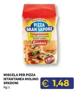 Maxisconto Miscela per pizza istantanea molino spadoni offerta