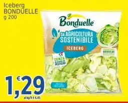 Market Ingross Iceberg Bonduelle offerta