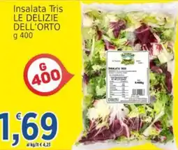 Market Ingross Insalata Tris Le Delizie dell'Orto offerta